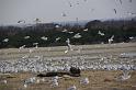 012409 Waco Landfill 018